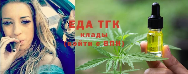 индика Каменногорск