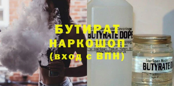 индика Каменногорск