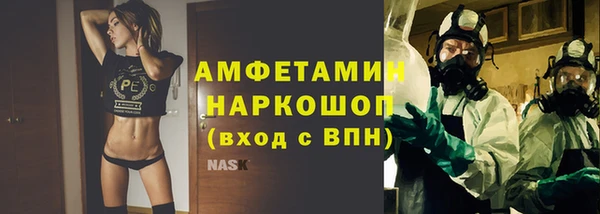 индика Каменногорск