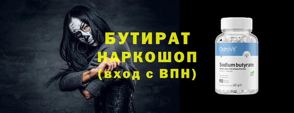 индика Каменногорск